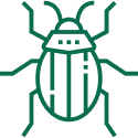 008-bug-1.png